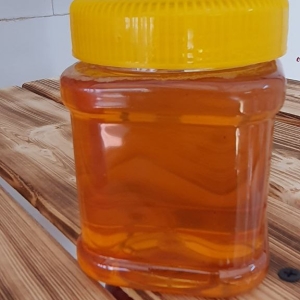 عسل گون کوهی نیم کیلویی