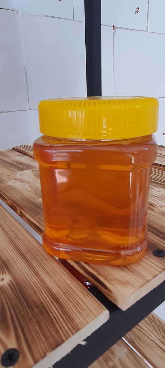 عسل گون کوهی نیم کیلویی
