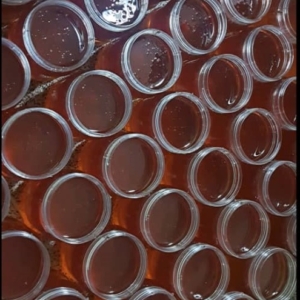 عسل چهل گیاه مروند