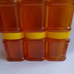 عسل گون اویشن۵۰۰گرمی پک ۶ عددی