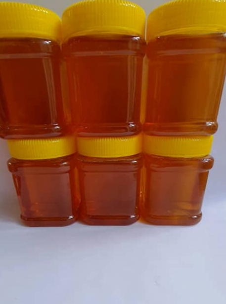 عسل گون اویشن۵۰۰گرمی پک ۶ عددی