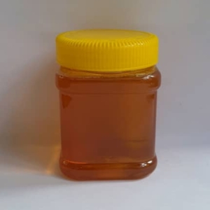 عسل گون اویشن ۵۰۰ گرمی