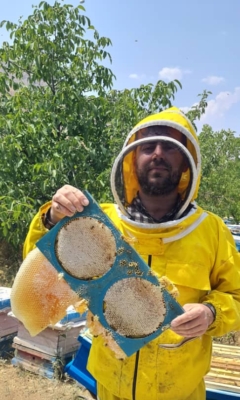 عسل خودبافت ۱ کیلویی لوکس مروند