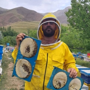 درباره زنبورستان وهاب پور (مروند)