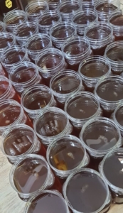 گالری مجموعه