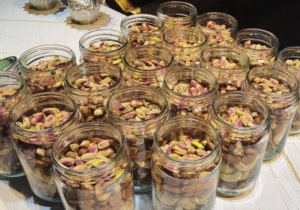 گالری مجموعه